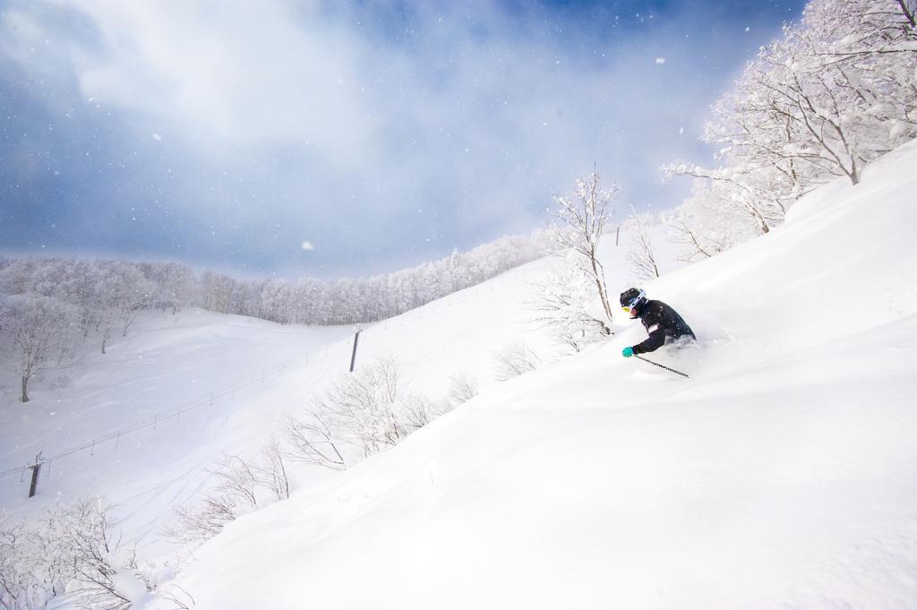Hotel Silverhorn Myoko Exterior photo